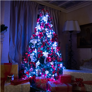 Twinkly 600 RGB LED String (Gen II), IP44, 48 m, black - Smart Christmas Lights Item - TWS600STP-BEU