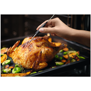 Electrolux SteamPro 900, 70 L, inox - Built-in Steam Oven Item - EOA9S31CX