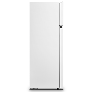 Šaldytuvas Hisense RT267D4AWF