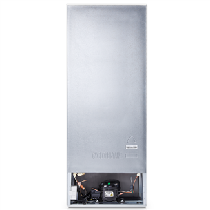 Šaldytuvas Hisense RT267D4AWF