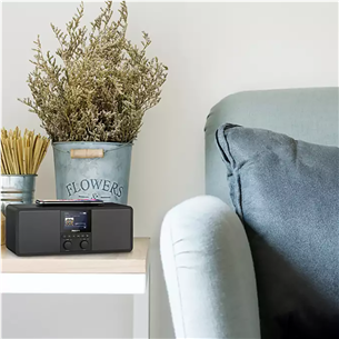 Philips TAR8805, FM, DAB+, Spotify connect, Bluetooth, wireless charging, black - Internet radio Item - TAR8805/10