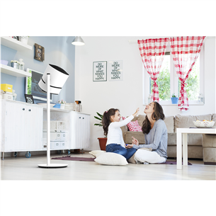 Ventiliatorius Boneco Prekė - F230CC