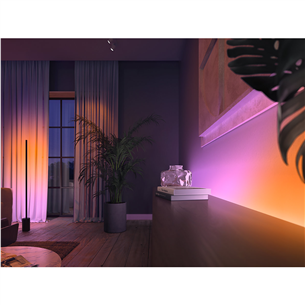 Philips Hue White and Color Ambiance Gradient Lightstrip Extension, 1 m, white - Smart Lightstrip Extension Item - 929002995001