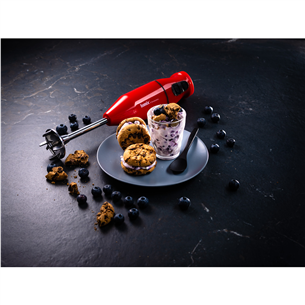 Bamix Cordless, red- Hand Blender Item - 1120.003