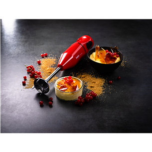 Bamix Cordless, red- Hand Blender Item - 1120.003