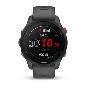 Garmin Forerunner 255, gray - Sports watch
