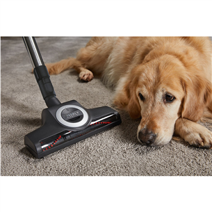 Miele Complete C3 Cat & Dog, 890 Вт, красный - Пылесос Товар - 12031690