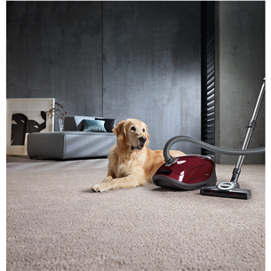 Miele Complete C3 Cat & Dog, 890 Вт, красный - Пылесос Товар - 12031690