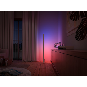 Philips Hue Signe, White and Color Ambiance, white - LED Floor Lamp Item - 915005987101