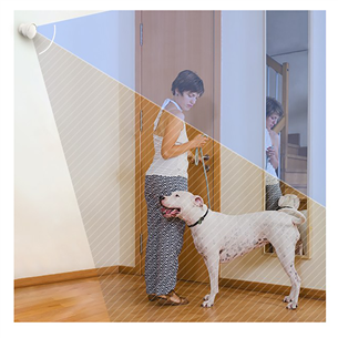 EZVIZ T1C, белый - Датчик движения Товар - CS-T1C