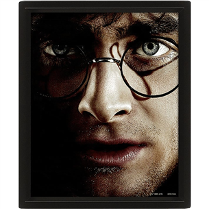 Harry Potter vs Voldemort, 20x25 cm, 3D - Wall art Item - 5051265850065 5051265850065