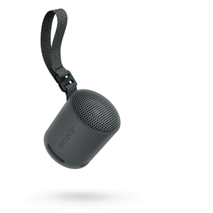 Sony SRS-XB100, black - Portable wireless speaker Item - SRSXB100B.CE7