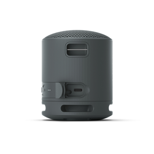 Sony SRS-XB100, black - Portable wireless speaker Item - SRSXB100B.CE7