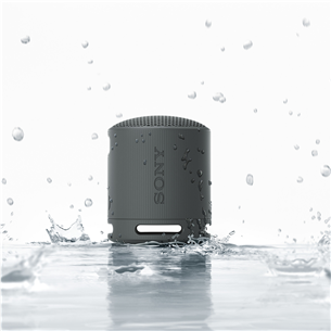 Sony SRS-XB100, black - Portable wireless speaker Item - SRSXB100B.CE7