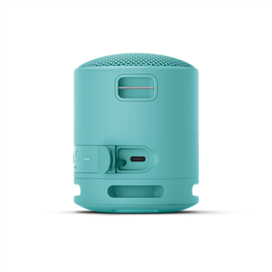 Sony SRS-XB100, blue - Portable wireless speaker Item - SRSXB100L.CE7