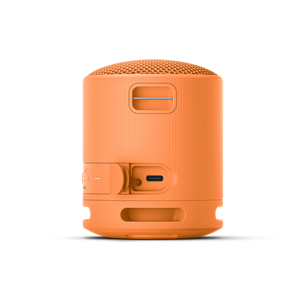 Sony SRS-XB100, orange - Portable wireless speaker Item - SRSXB100D.CE7