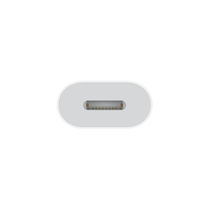 Apple USB-C - Lightning, white - Adapter Item - MUQX3ZM/A