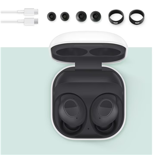 Samsung Galaxy Buds FE, graphite - True-wireless earbuds Item - SM-R400NZAAEUE
