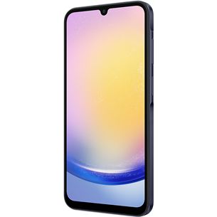 Samsung Galaxy A25 5G, 128 GB, black - Smartphone Item - SM-A256BZKDEUE