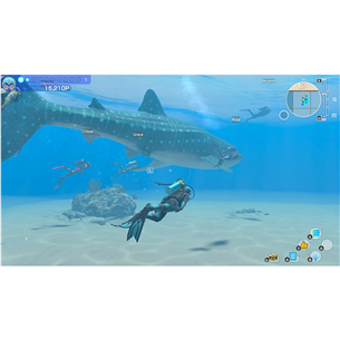Endless Ocean: Luminous, Nintendo Switch - Žaidimas Prekė - 045496511807