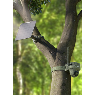 Reolink Go Ranger PT + Solar Panel 2, 8 МП, 4G LTE, питание от аккумулятора, ночной режим - Трековая камера с солнечной панелью Товар - B4GPT4K06SP