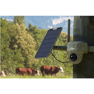 Reolink Go Ranger PT + Solar Panel 2, 8 МП, 4G LTE, питание от аккумулятора, ночной режим - Трековая камера с солнечной панелью Товар - B4GPT4K06SP