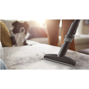 Philips Performer LED 8000 Series, 900 Вт, серый - Пылесос Товар - XD8152/12