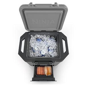 Šaldymo dėžė Ninja FrostVault FB131EUGY, 28 L, pilka