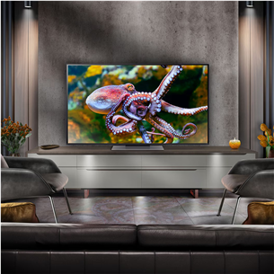 Televizorius LG QNED86, 55'', 4K UHD, QNED, juodas Prekė - 55QNED86T3A.AEU
