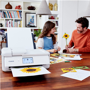 Multifunctional inkjet color printer PIXMA TS9551C, Canon Item - 2988C026