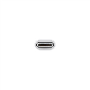 Apple USB-C to USB Adapter, baltas - Adapteris