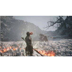 Black Myth: Wukong, PlayStation 5 - Žaidimas