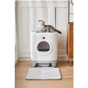Petkit PURA X, 7 L, balta - Savaime išsivalanti kačių kraiko dėžė