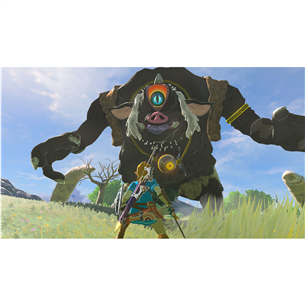The Legend of Zelda: Breath of the Wild, Nintendo Switch 2 - Žaidimas